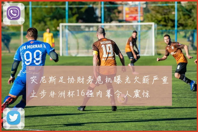 突尼斯足协财务危机曝光欠薪严重止步非洲杯16强内幕令人震惊